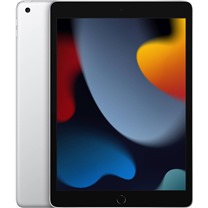 Apple iPad 2021 10,2" Wi-Fi 256GB Silver (mk2p3fd/A)