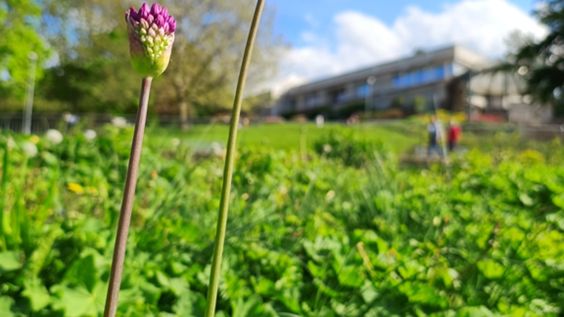 Fotogalerie ASUS ROG Cetra True Wireless SpeedNova: Oficiální fotografie - fotografie č.3