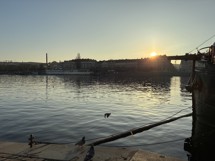 Fotogalerie Samsung Galaxy A56 5G: Naše fotografie - fotografie č.23