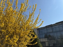 Fotogalerie Google Pixel 9a: Fotky z telefonu - fotografie č.20