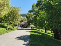 Fotogalerie Huawei Pura 70 Ultra: Fotky z telefonu - fotografie č.73