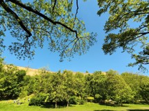 Fotogalerie Huawei Pura 70 Ultra: Fotky z telefonu - fotografie č.73