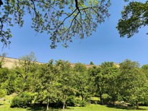 Fotogalerie Huawei Pura 70 Ultra: Fotky z telefonu - fotografie č.73