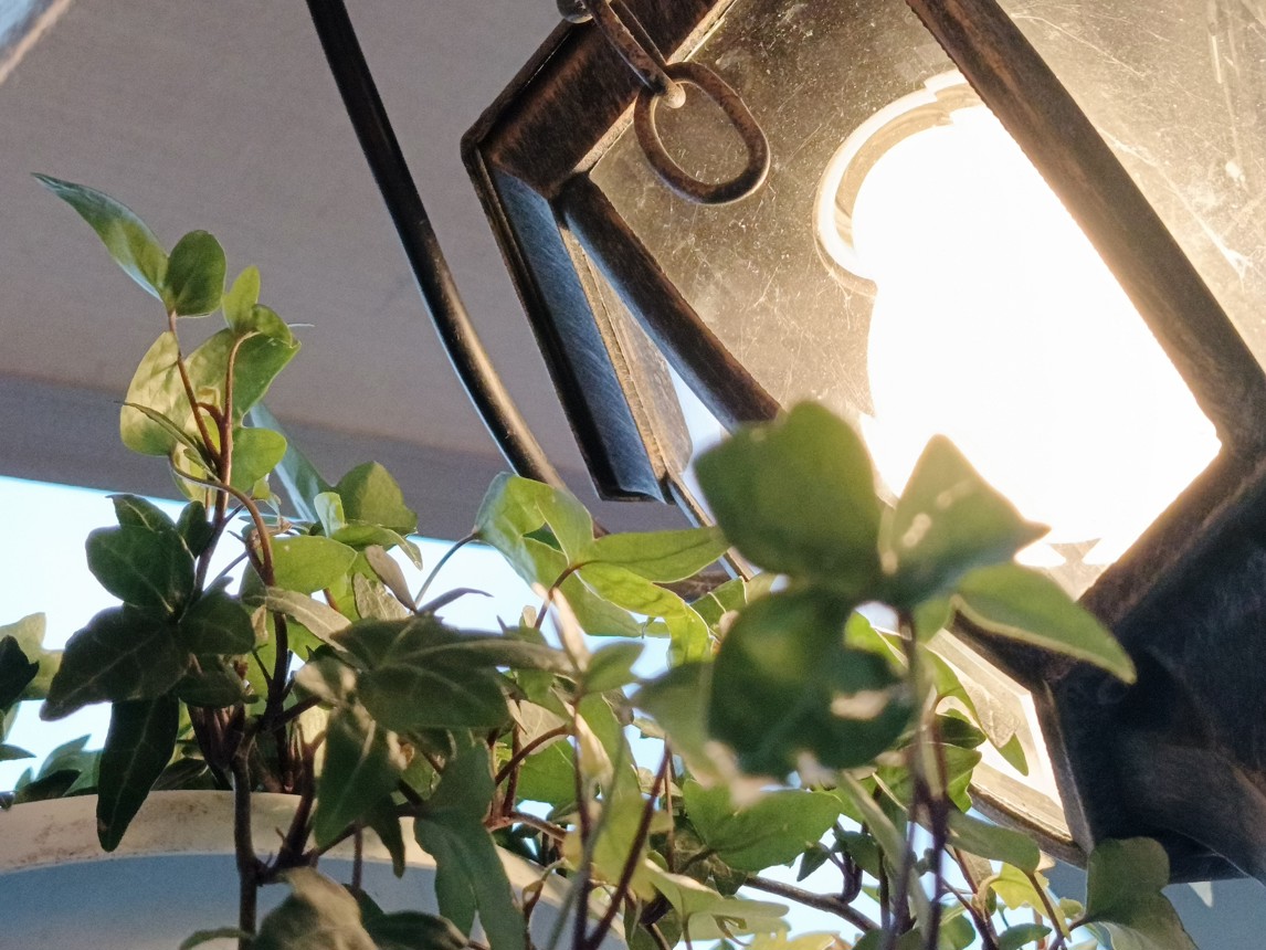 Fotogalerie Infinix Note 40 Pro: Fotky z telefonu - fotografie č.2