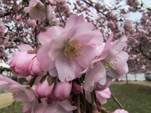 Fotogalerie SONY Xperia 1 VI: Fotky z telefonu - fotografie č.165