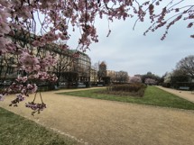 Fotogalerie POCO F6: Fotky z telefonu - fotografie č.40