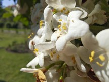 Fotogalerie vivo V50 Lite: Naše fotografie - fotografie č.36