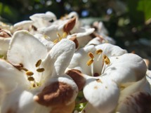 Fotogalerie vivo V50 Lite: Naše fotografie - fotografie č.36