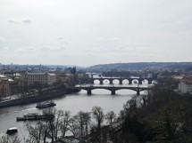 Fotogalerie OnePlus 13: Fotky z telefonu - fotografie č.67