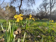 Fotogalerie POCO F7 Ultra: Naše fotografie - fotografie č.61