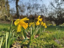 Fotogalerie POCO F7 Ultra: Naše fotografie - fotografie č.61