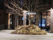 Fotogalerie vivo X100 Pro:  - fotografie č.78