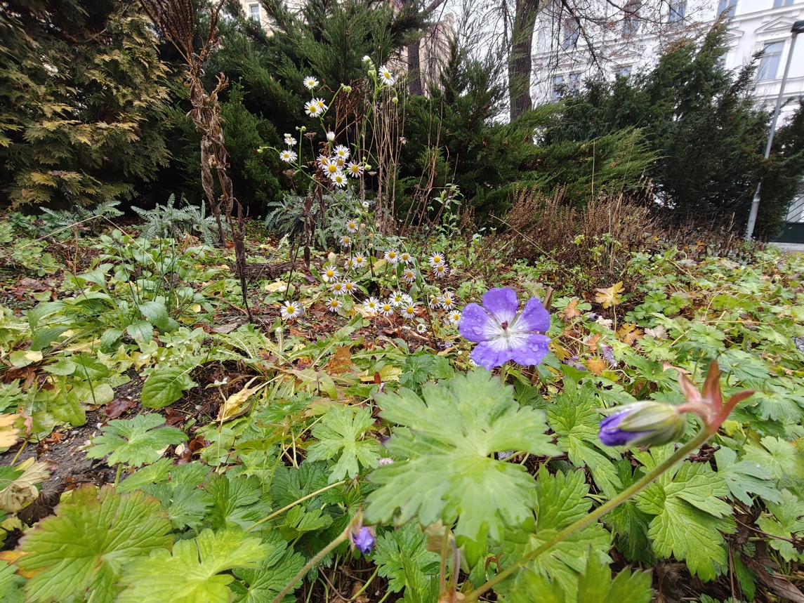 Fotogalerie realme GT 7 Pro: Fotky z telefonu - fotografie č.49