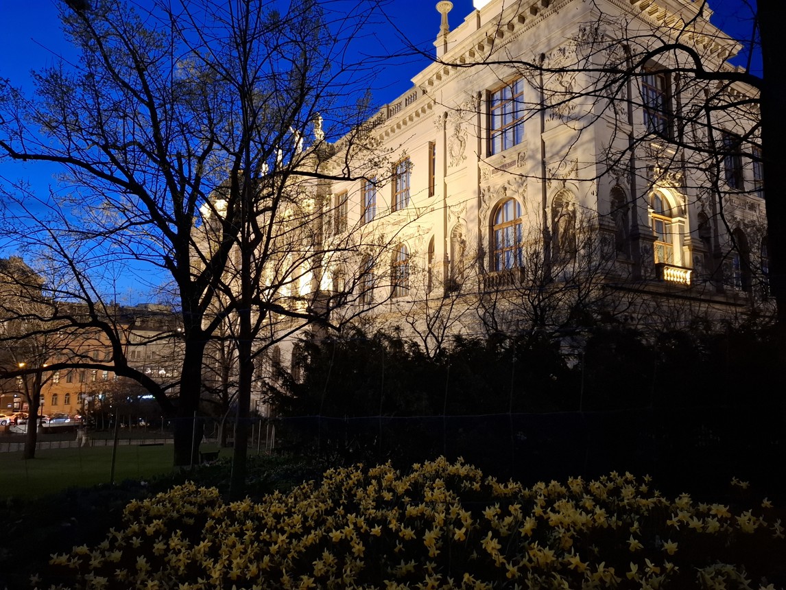 Fotogalerie  - fotografie č.11