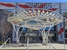 Fotogalerie Motorola Edge 50 Fusion: Fotky z telefonu - fotografie č.95