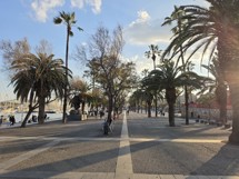 Fotogalerie Samsung Galaxy A56 5G: Fotky z telefonu - fotografie č.48