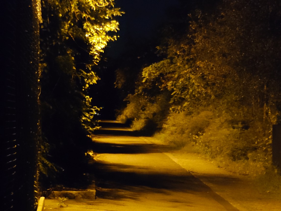 Fotogalerie SONY Xperia 1 VI: Fotky z telefonu - fotografie č.182