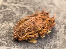 Fotogalerie CMF Phone 2 Pro: Naše fotografie - fotografie č.56