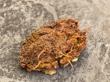 Fotogalerie CMF Phone 2 Pro: Naše fotografie - fotografie č.56