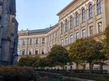 Fotogalerie realme 12 Pro Plus: Screenshoty - fotografie č.2