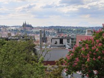 Fotogalerie OPPO Find X9 Ultra: Fotky z telefonu - fotografie č.55