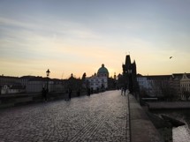 Fotogalerie Motorola Edge 50 Pro: Fotky z telefonu - fotografie č.52