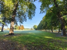 Fotogalerie OPPO Reno11 F: Screenshoty - fotografie č.7