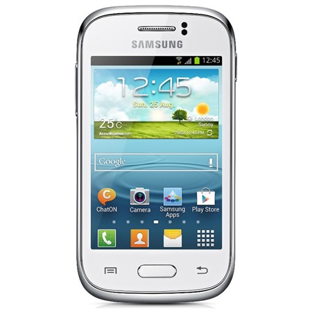 Samsung S6310 Galaxy Young White (GT-S6310ZWNETL)