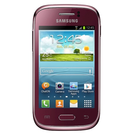 Samsung S6310 Galaxy Young Red (GT-S6310WRNETL)