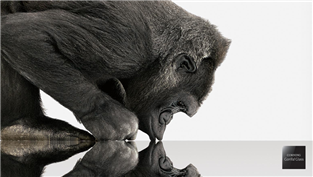 Corning Gorilla Glass: vše, co potřebujete vědět