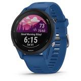 Garmin Forerunner 255 Tidal Blue