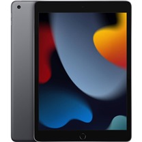 Apple iPad 2021 10,2" Wi-Fi 256GB Space Grey (mk2n3fd/A)