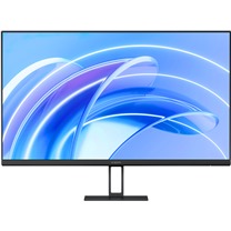 Monitory