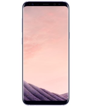 Samsung G955 Galaxy S8+ 64GB Orchid Gray (SM-G955FZVAETL)