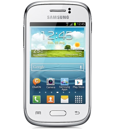 Samsung S6310 Galaxy Young White (GT-S6310ZWNETL)