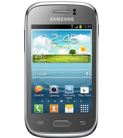 Samsung S6310 Galaxy Young Titan Grey (GT-S6310TANETL)