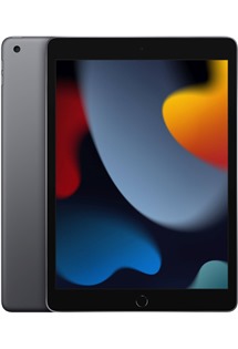 Apple iPad 2021 10,2 Wi-Fi 64GB Space Grey (mk2k3fd/A)