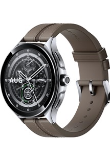 Xiaomi Watch 2 Pro chytr hodinky stbrn