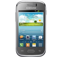 Samsung S6310 Galaxy Young Titan Grey (GT-S6310TANETL)