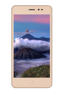 Aligator S5060 Duo gold