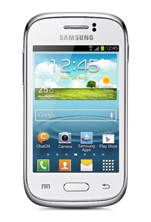 Samsung S6310 Galaxy Young White (GT-S6310ZWNETL)