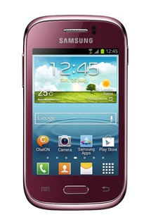 Samsung S6310 Galaxy Young Red (GT-S6310WRNETL)