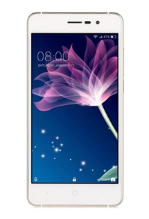 Doogee X10 Dual-SIM 0.5GB / 8GB Mocha Gold