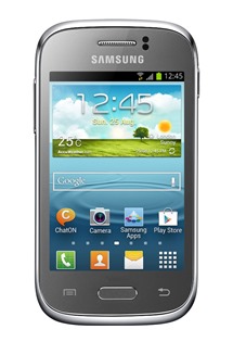 Samsung S6310 Galaxy Young Titan Grey (GT-S6310TANETL)