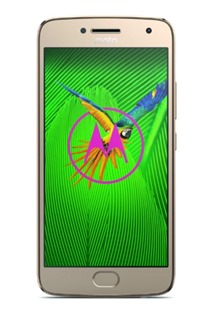 Motorola Moto G5 PLUS Dual-SIM Fine Gold