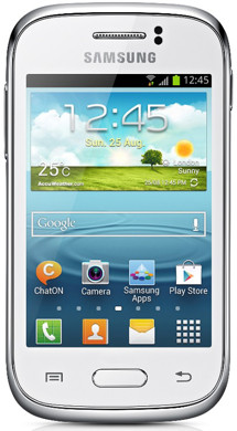 Samsung S6310 Galaxy Young White (GT-S6310ZWNETL)