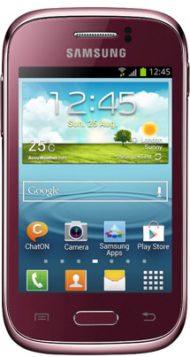 Samsung S6310 Galaxy Young Red (GT-S6310WRNETL)