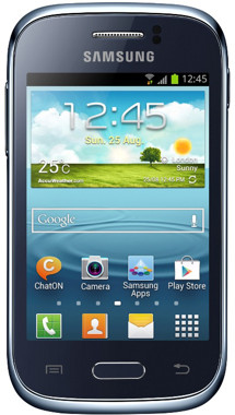 Samsung S6310 Galaxy Young Deep Blue (GT-S6310DBNETL)