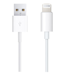 Apple MD818 USB-A / Lightning 1m bílý kabel bulk