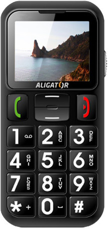 Aligator A310 Dual-SIM Black